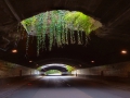 1. Platz Projektion Licht in der Mitte des Tunnels * Ursula_Pilz