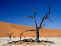 Dead Vlei Namibia