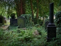 Fototreff - jüdischer Friedhof in Köln Deutz