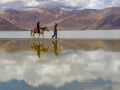 Platz 1 Zwischen Himmel und Wasser am Himalaya See