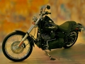 Harley Davidson - Immer ein gern fotografiertes Motiv