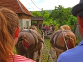Pferdekarrenfahrt-durch-Ocna-Sugatag_DxO