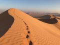 Oman Sanddüne 2019