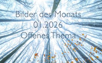 Bilder des Monats 01.2026