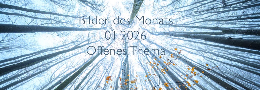Bilder des Monats 01.2026