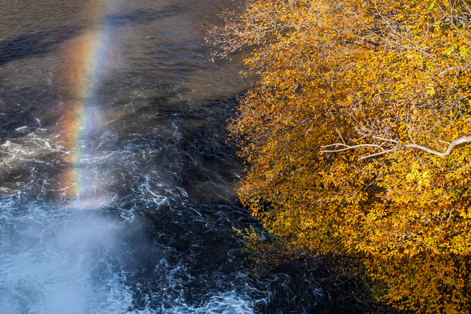 Farbenpracht am Wasserfall
