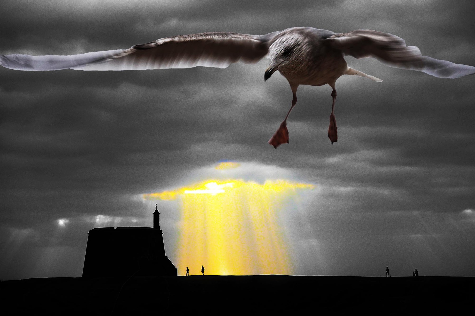 Überflug.jpg