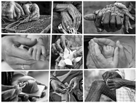 Hände die erzählen