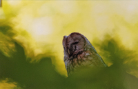 Begegnung * Stefan Wagner