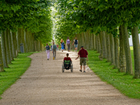 Alleespaziergang