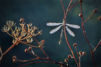 Ein Novembermorgen