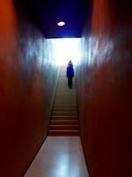 Der Weg zum Licht * Gerd Martiny
