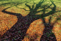Es wird Herbst