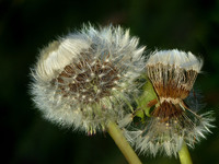 Warten auf Flugwetter
