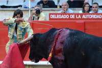 Lezter Stierkampf in Barcelona.jpg