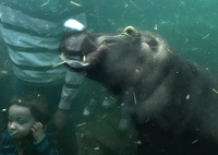 Augen auf * Ralf Schmid