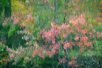 Herbstgemälde * Stefan Wagner