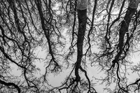 Spieglein Spieglein * Frauke Fuck