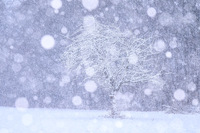 Schneefall * Stefan Wagner