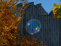 Ein Moment des Glücks * Ursula Pilz