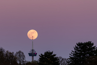 Colonius_Mond * ChristianGentges.jpg