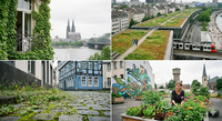 Natur im Urbanen Umfeld * KI
