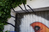 DSC00577.jpeg