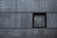 Hinter Glas_Stefan