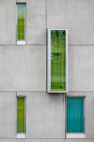 Grüne Fenster_Stefan