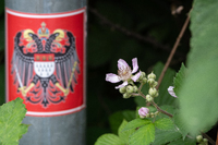 Natur im urbanen Raum 2*ChristianGentges.jpg