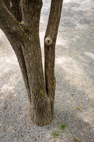 ChristianRunge - Urban 3.jpg