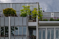Dachgarten, Penthouse, Hotel Mondial th