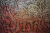 Die grosse Hitze * Ursula Pilz