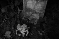 Unter dem Schleier des .... * Ralf Schmid