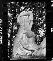 Melaten - Desire * Walter Schmitt