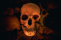 Memento Mori