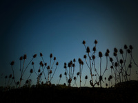 Herbstabend
